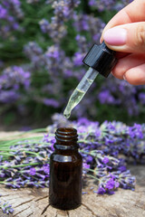 Lavender essential oil with pipette and fresh flowers, spa and wellness concept.