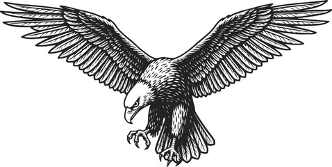 Obraz premium detailed eagle illustration with spread wings, sharp beak, and fierce talons in vintage