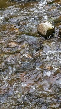 Close-up Calm forest stream with smooth natural motion and organic detail. Perfect for Vertical wellness campaigns and relaxing social media visuals.