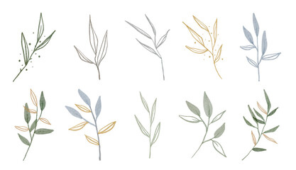 Obraz premium winter watercolor collection with various types of leaves