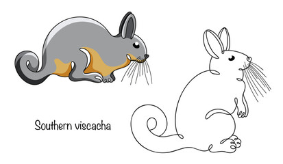 Southern viscacha