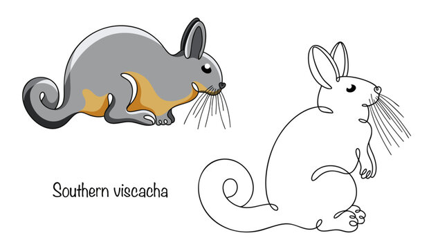 Southern viscacha
