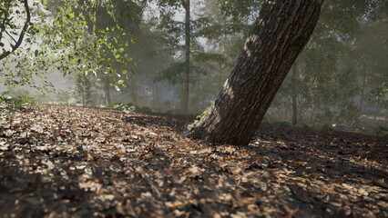 Twin leaning trunks casting long shadows, dramatic silhouette against sunlit understory, layered leaves and textured ground create cinematic mood for background