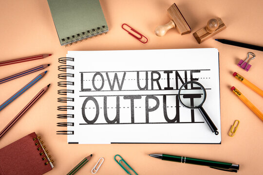 LOW URINE OUTPUT Text Notebook With Magnifier Medical Concept Flat Lay