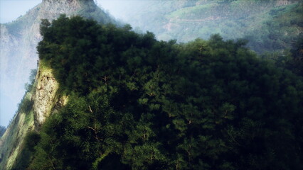 This stunning aerial photograph showcases a coniferous summer forest in the picturesque German Alps. © icetray