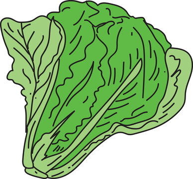 salada.eps