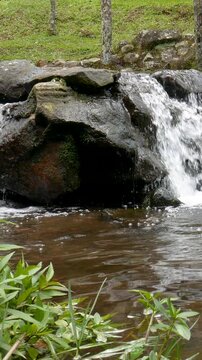 Lush tropical river surrounded by greenery and vivid atmosphere. Designed for Vertical social advertising, tourism promotions, and background storytelling.