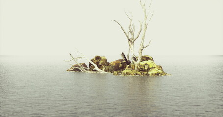 Obraz premium tiny islet with solitary tree in calm sea, soft neutral tones, minimal composition and strong negative space, meditative mood suitable for mindfulness