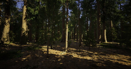shadowed pine forest floor with dusk light filtering through trunks, moody atmosphere and deep understory shadows evoking quiet stillness and introspective