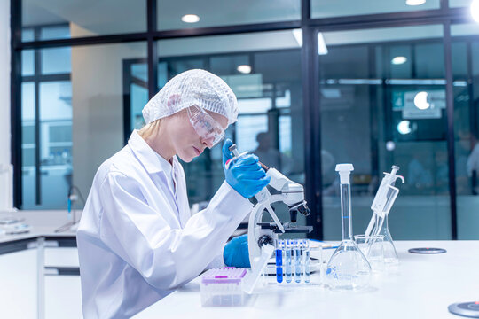 Closeup woman scientist filling chemical through in test tubes in laboratory. Research, experiment and medical trial being done by a scientist in a lab, science facility or hospital.