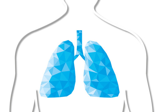 Human lungs, conceptual illustration
