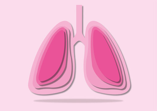 Lungs, illustration