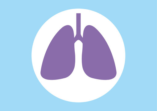 Lungs, illustration