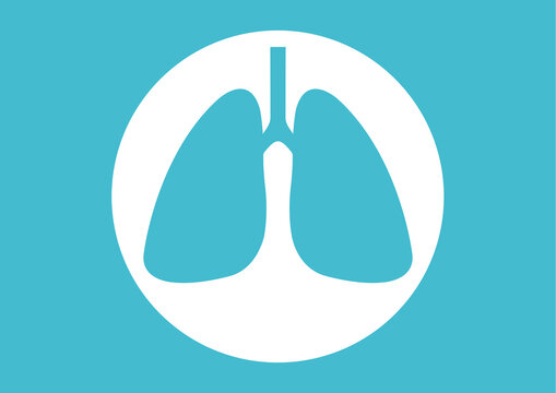 Lungs, illustration