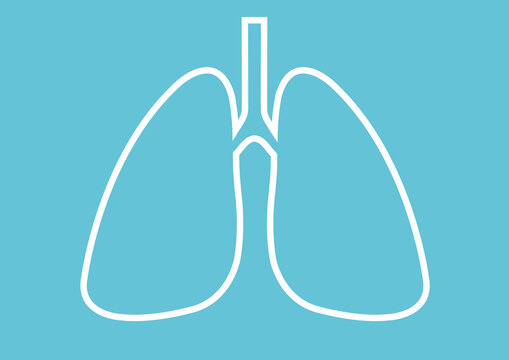 Human lungs, conceptual illustration