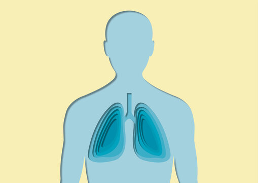 Human lungs, conceptual illustration