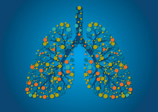 Human lungs, conceptual illustration
