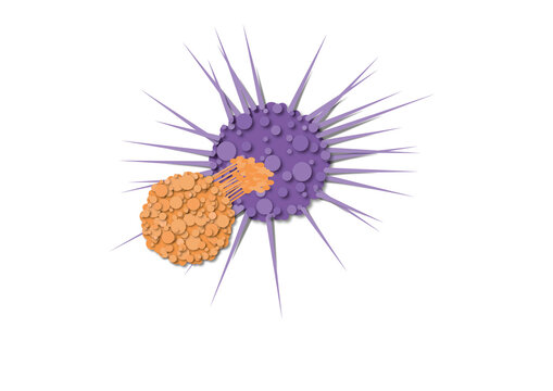 Immune response to cancer cell, conceptual illustration
