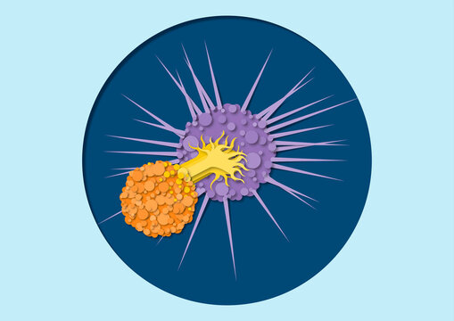 Immune response to cancer cell, conceptual illustration