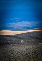 Sentinella del Silenzio