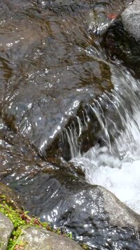 Natural water stream presenting smooth rhythm and scenic perspective. Ideal for Vertical mobile ads and outdoor promotional visuals.