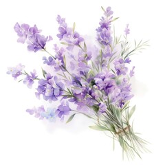 Fototapeta premium Delicate watercolor lavender bouquet.