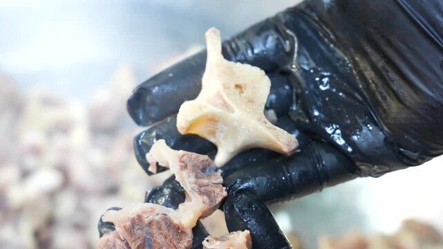Hands separating meat from bones of delicately boiled oxtail