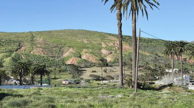 Palmendorf Haria auf Lanzarote