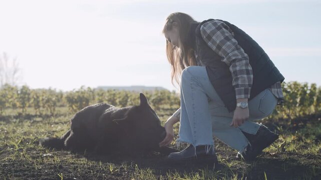Girl trains dog in field under sunlight while handler gives commands and rewards for good behavior