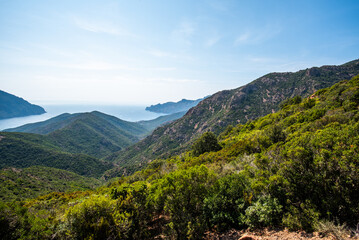 Obraz premium Mediterranean mountain slopes overlooking sea in Corsica