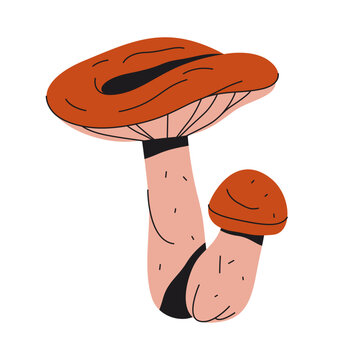 Wine or red cap mushroom. Vector icon of burgundy stopharia. Garden giant fungus species. Forest flora or woodland wildlife, Stropharia rugosoannulata king fungi. Botany and biology, mycology symbol.