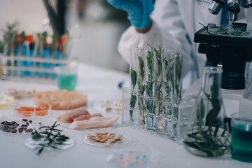 Chemical Laboratory of the Food supply . Food in laboratory, dna modify .GMO Genetically modified food in lab .