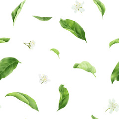 Green leaves seamless pattern. Watercolor illustration. Apple tree branch, spring foliage, isolated on background. Suitable for cards, invitations, gardening, summer greenery, and nature themes.