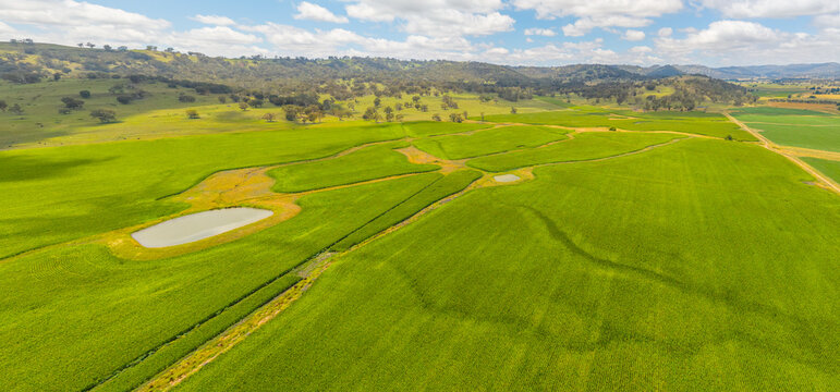 Patterns from the sky of Corn farm near Glen Innes, New South Wales