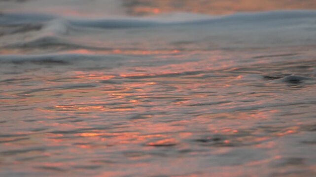Waves, foaming, sunset reflections washing over wet sand during golden hour twilight at the beach.