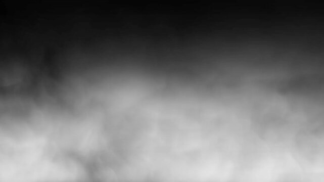 Cinematic Fog Motion Background Loop | Realistic Mist Animation for Video