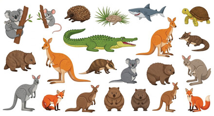 Obraz premium Australian wildlife animals flat vector set with kangaroo koala wombat and native fauna isolated on white background