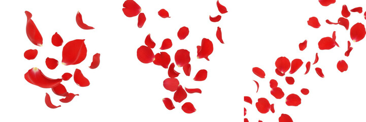 Set Falling Red Rose Petals - Romantic Floral Decoration for Wedding and Valentines Day Transparent Background PNG