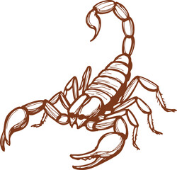 Scorpion Sketch Illustration