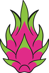 Dragon Fruit Illustration