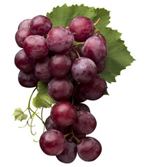 Bunch of grapes, isolated on transparent background