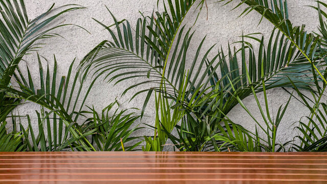 Polished wooden surface with vibrant green tropical plants against a white textured wall, creating a refreshing natural backdrop perfect for product display