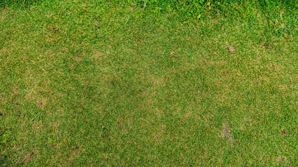 Overhead view of a lush green lawn, perfect for outdoor activities and relaxation