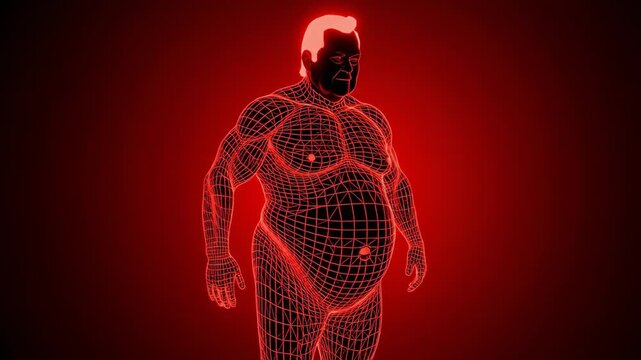 Visual Representation of Health Risk Related to High BMI for Medical Diagnosis Concept