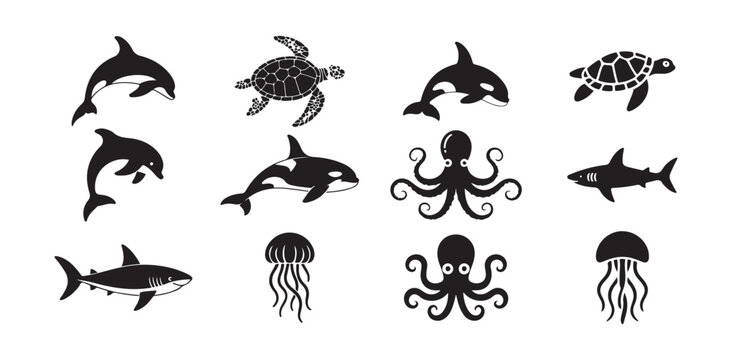 ocean wildlife illustration with dolphin orca turtle shark octopus jellyfish silhouettes