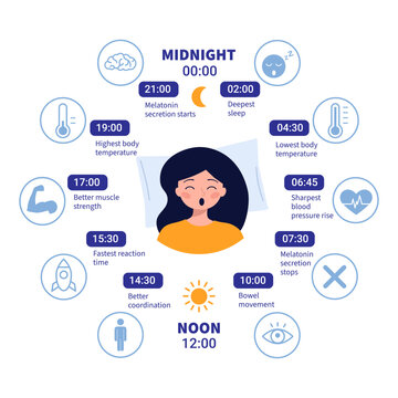 Circadian Rhythm Sleep Infographic with Female Character and 24 Hour Body Clock