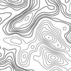 Fototapeta premium Abstract Gray Topographic Line Pattern Background Minimal Monochrome Contour Map Texture, Modern Geographic Elevation Lines, Seamless Terrain Illustration for Wallpaper, Print, Branding and Digital.