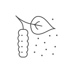 Birch catkin line outline icon