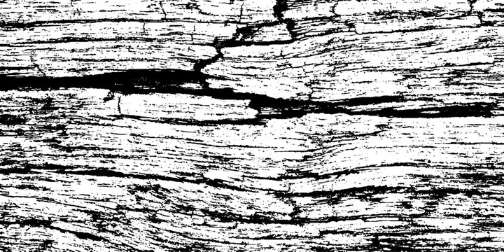 Black and White Wood Grain Texture Background Distressed Tree Bark Pattern, Rough Timber Surface, Rustic Wooden Plank Detail, High Contrast Monochrome Natural Texture for Wallpaper, Print and Graphics