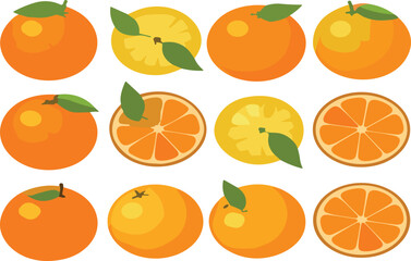 Orange fruit vector set isolated, whole orange and sliced citrus illustration collection